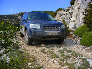 On the way to the lammergeyer feeding site
