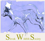 SWS