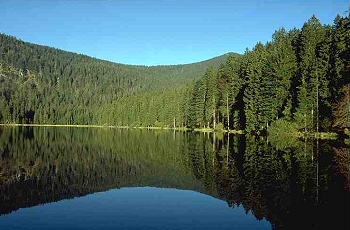 Großer Arbersee im Nationalpark Bayerischer Wald Großer Arbersee im Nationalpark Bayerischer Wald