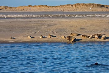 Nieders&auml;chsisches Wattenmeer