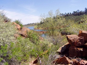 In Lory State Park