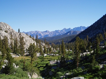 In Sequoia & Kings Canyon National Park