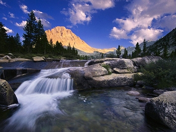 In Sequoia & Kings Canyon National Park