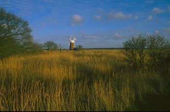 In the Broads