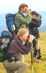 Observation