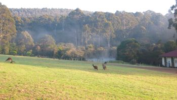 Morning mist at base.