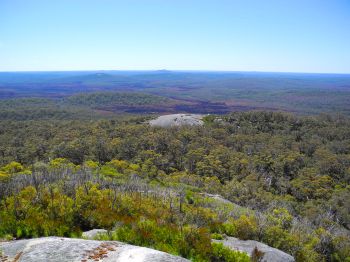 View over the Walpole Wilderness study site from Mt Franklin.