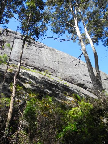 Mt Franklin