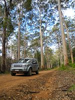 Expedition Land Rover in the forest study site