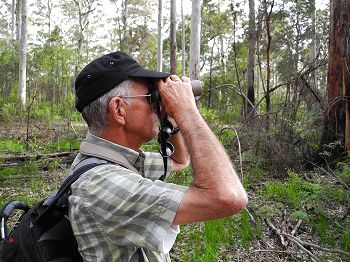 Walking a transect and recording species.