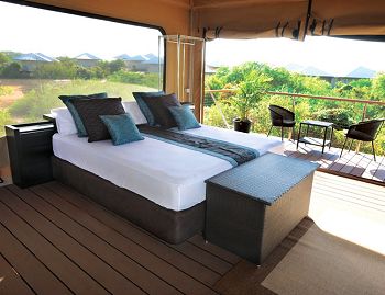 View from inside a safari-style tent