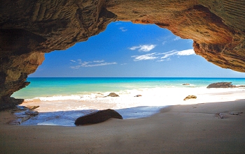 Eco Beach study site