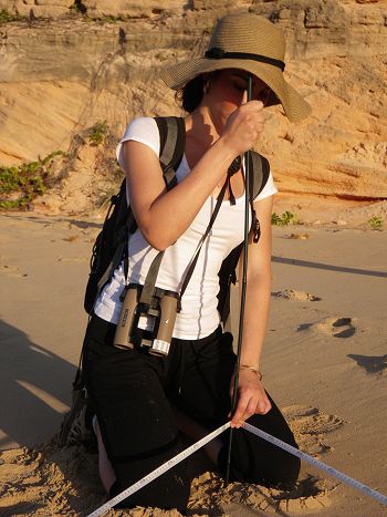 Triangulating a nest site.