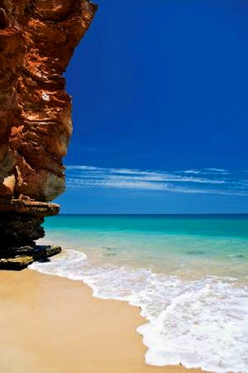 Eco Beach study site