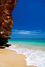 Eco Beach study site