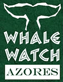 Whale Watch Azores