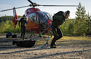 wildlife conservation volunteering