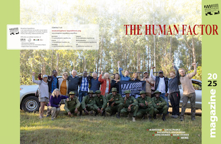 wildlife conservation volunteering