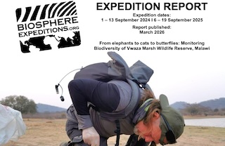 wildlife conservation volunteering