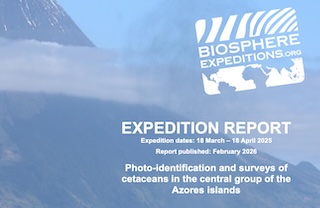 wildlife conservation volunteering