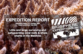 wildlife conservation volunteering