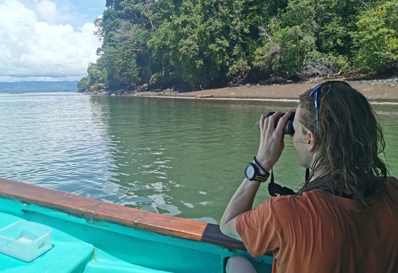 Looking for turtles in the Golfo Dulce
