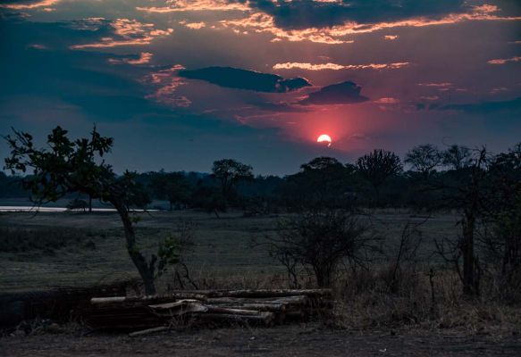 Sunset at Vwaza Reserve (c) Tom Bartel