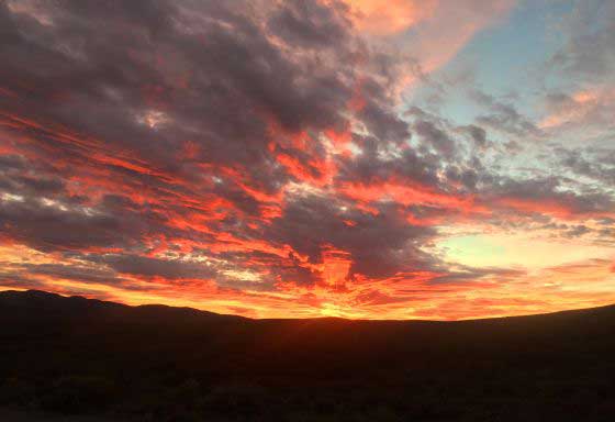 Fynbos sunset (c) Craig Turner