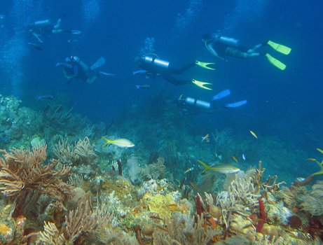 An underwater research team